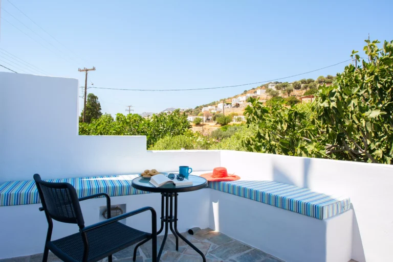 Loft House 2 - Yard Morning